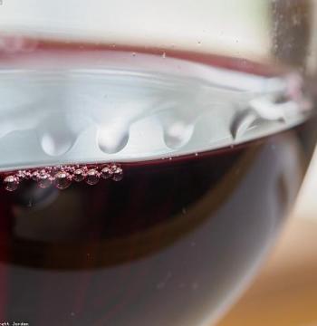 Copa Vino Tinto 450ml